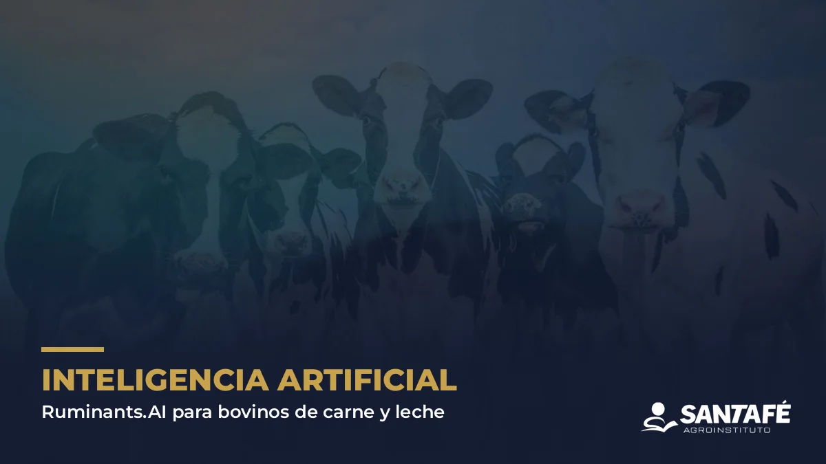 Vacas lecheras con el título Inteligencia Artificial Ruminants.AI para bovinos de carne y leche, Santafé Agroinstituto